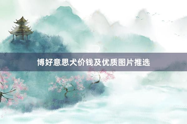博好意思犬价钱及优质图片推选